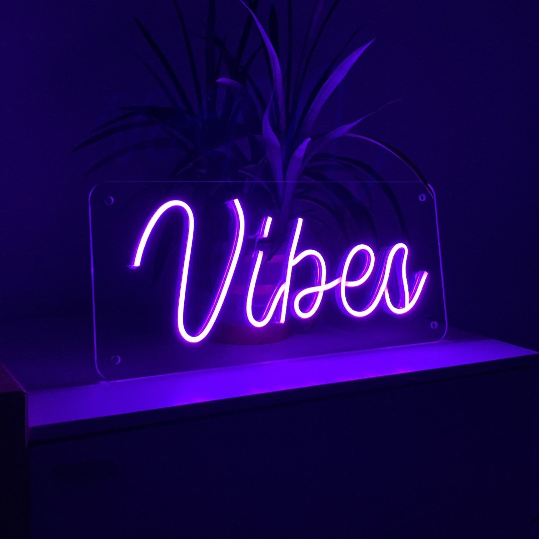 "Vibes" Neonschild / Box online kaufen – NeonWords