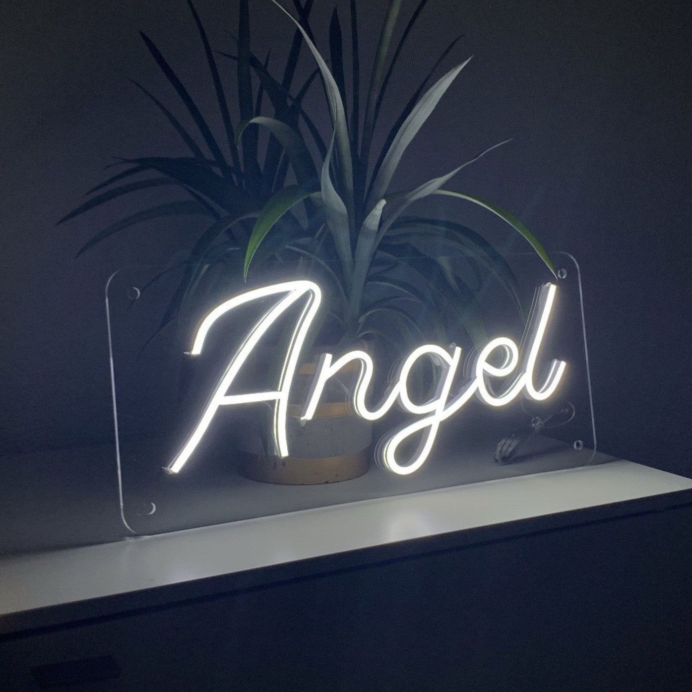 "Angel" neon sign / box