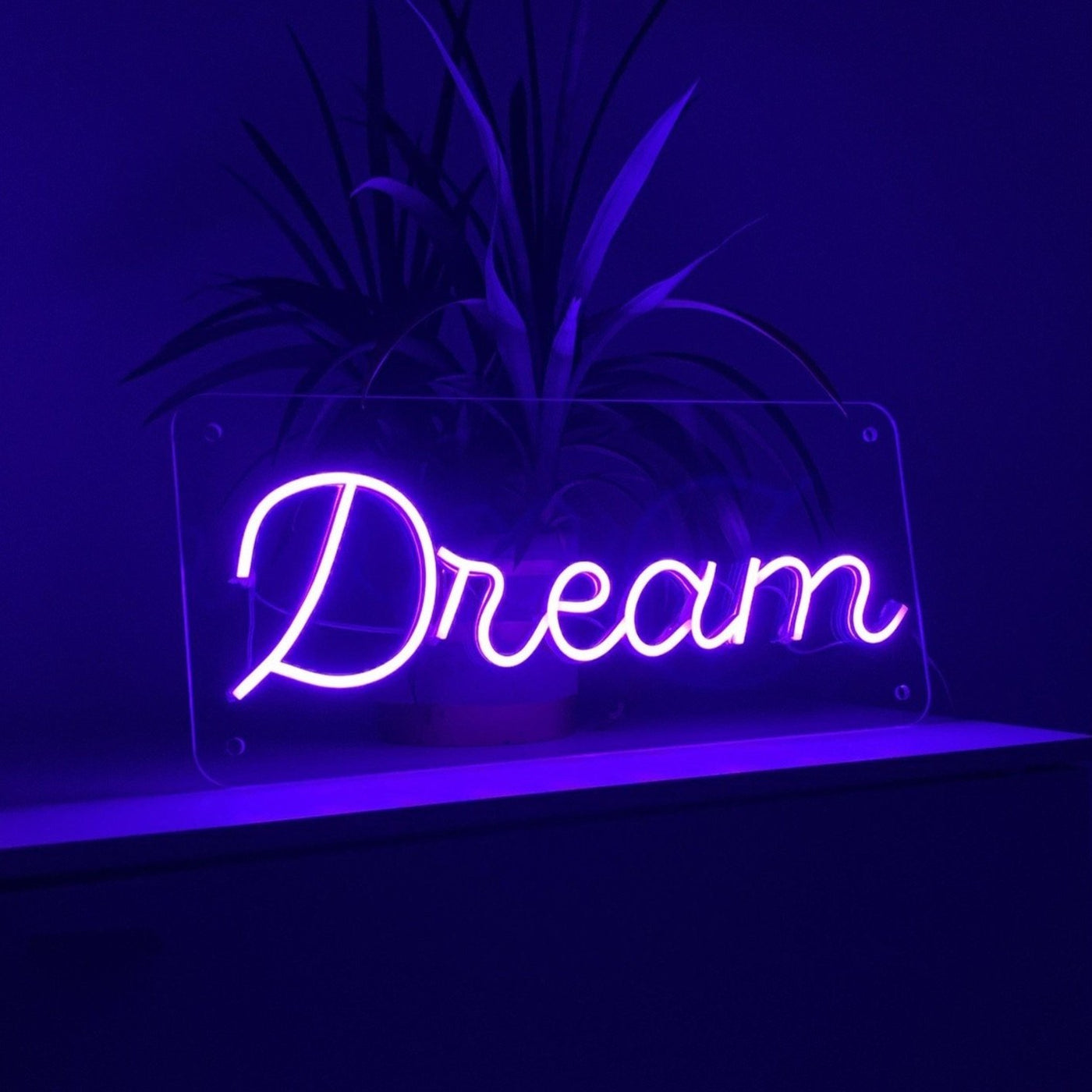 "Dream" Neonschild / Box