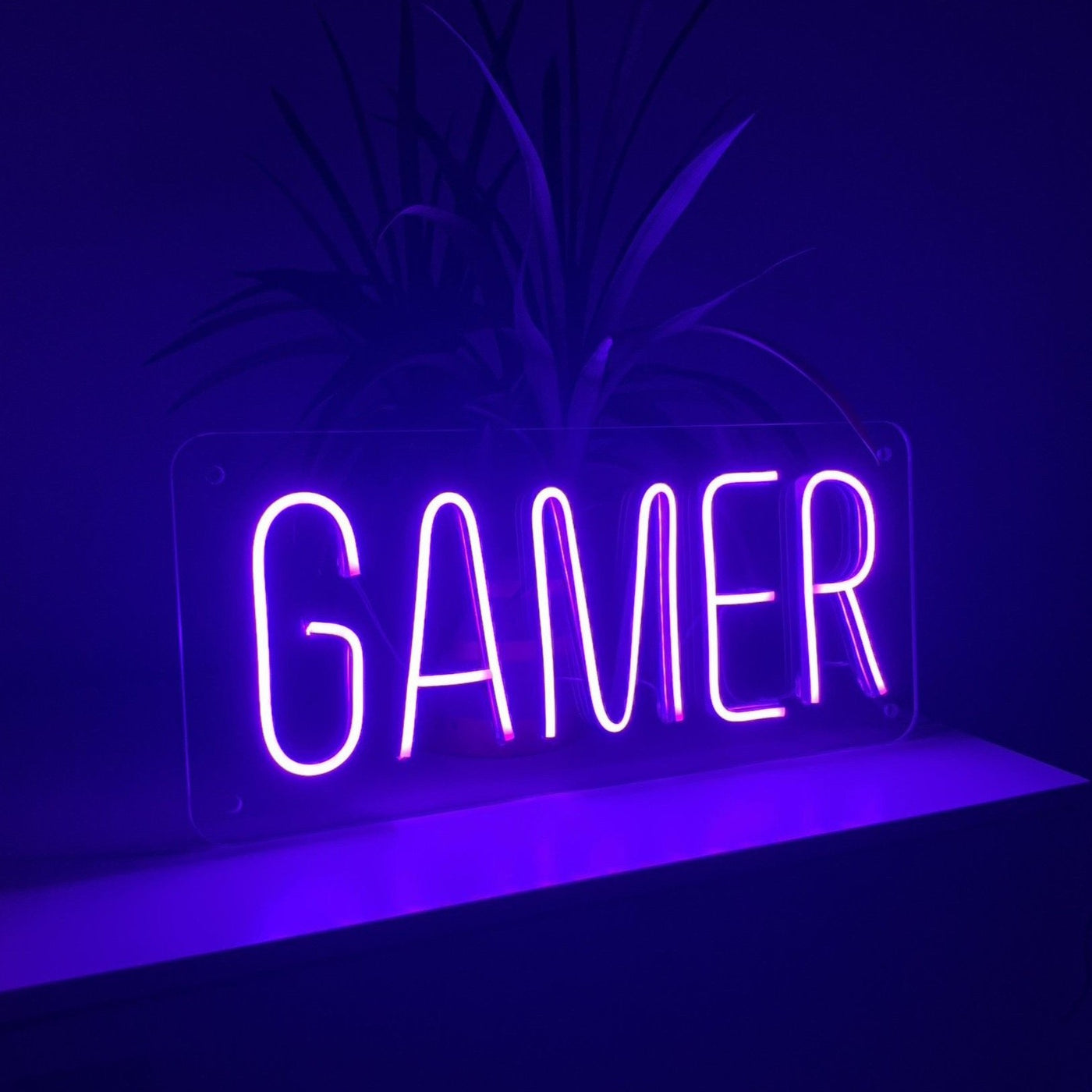 "GAMER" Neonschild / Box